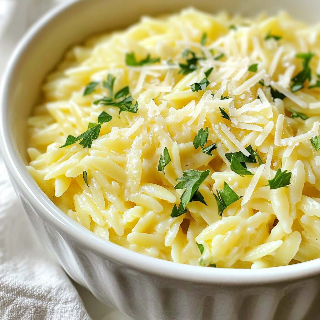 Creamy Garlic Parmesan Orzo Flavorful and Easy Dish